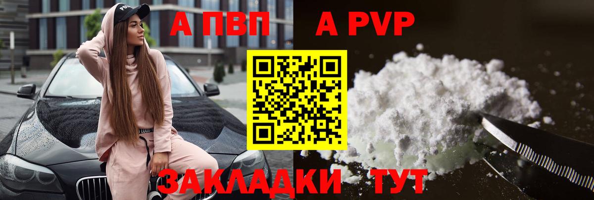 Моздок  A-PVP  Вход с VPN  Альфа ПВП СК КРИС 