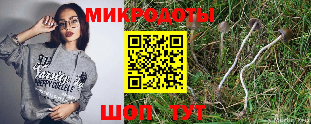 Галлюциногенные грибы Cubensis Моздок