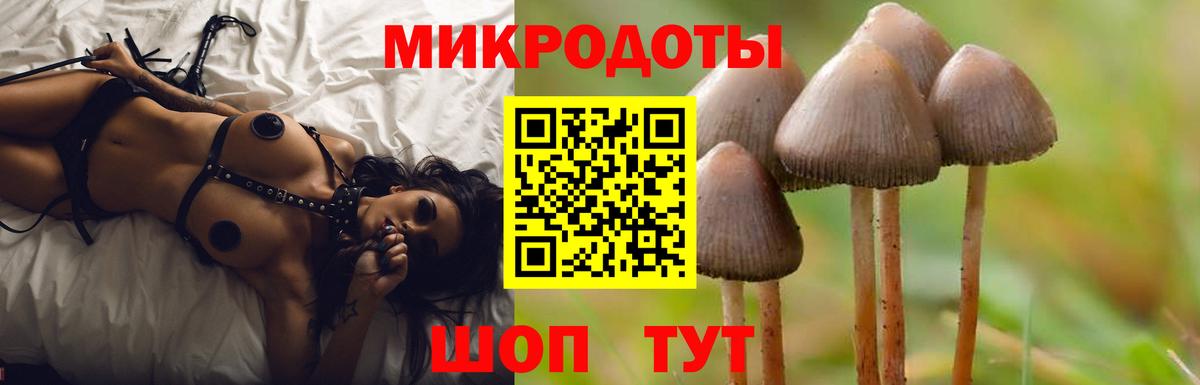 Моздок  Галлюциногенные грибы Cubensis  Вход с VPN 